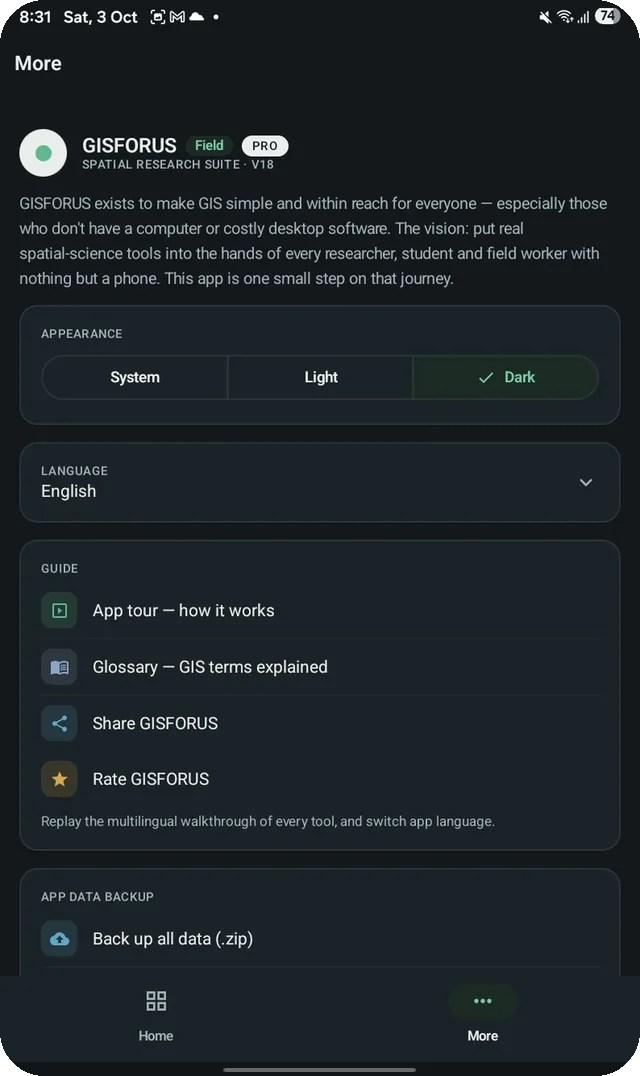 GISFORUS Field, Settings: Light and dark, multilingual, one-tap backup.